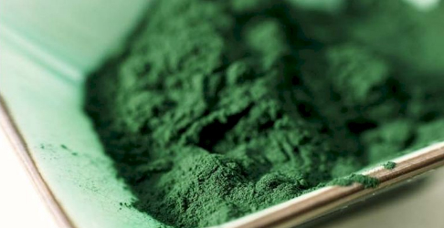 espirulina-1